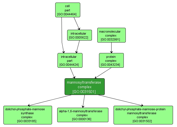 GO:0031501 - mannosyltransferase complex (interactive image map)