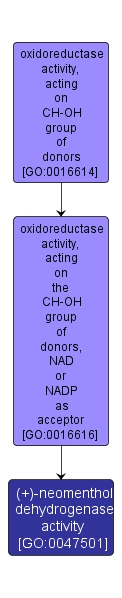 GO:0047501 - (+)-neomenthol dehydrogenase activity (interactive image map)