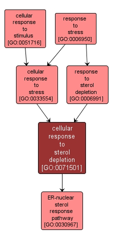GO:0071501 - cellular response to sterol depletion (interactive image map)