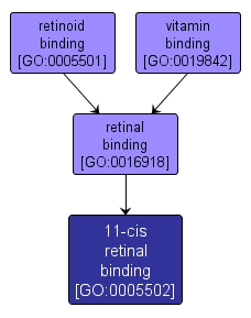GO:0005502 - 11-cis retinal binding (interactive image map)