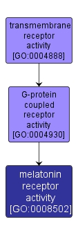 GO:0008502 - melatonin receptor activity (interactive image map)