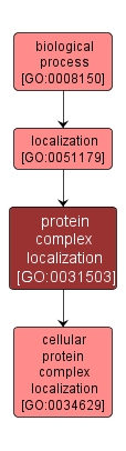 GO:0031503 - protein complex localization (interactive image map)