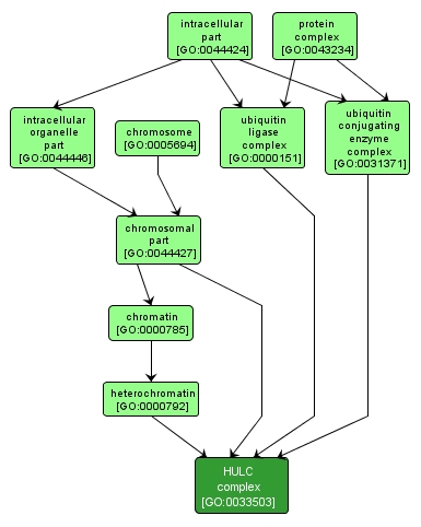GO:0033503 - HULC complex (interactive image map)