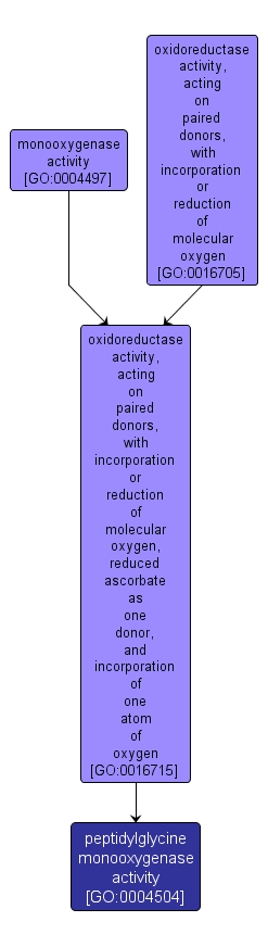 GO:0004504 - peptidylglycine monooxygenase activity (interactive image map)