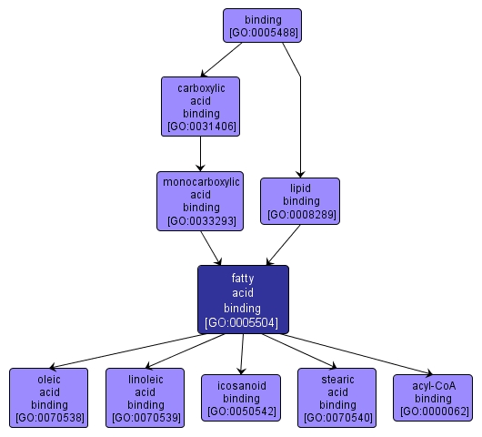 GO:0005504 - fatty acid binding (interactive image map)