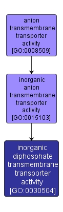 GO:0030504 - inorganic diphosphate transmembrane transporter activity (interactive image map)