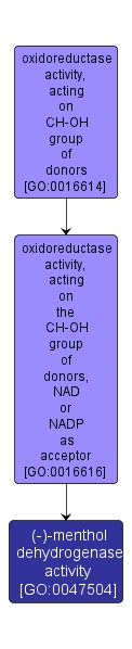 GO:0047504 - (-)-menthol dehydrogenase activity (interactive image map)