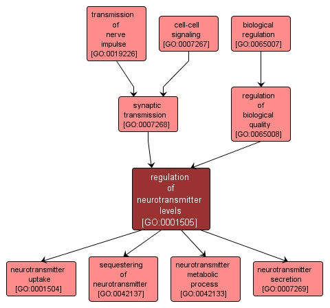 GO:0001505 - regulation of neurotransmitter levels (interactive image map)