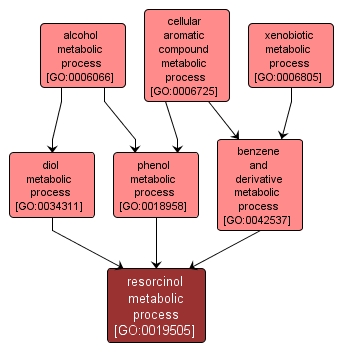 GO:0019505 - resorcinol metabolic process (interactive image map)