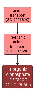 GO:0030505 - inorganic diphosphate transport (interactive image map)