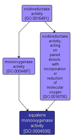 GO:0004506 - squalene monooxygenase activity (interactive image map)