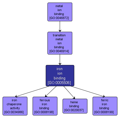 GO:0005506 - iron ion binding (interactive image map)