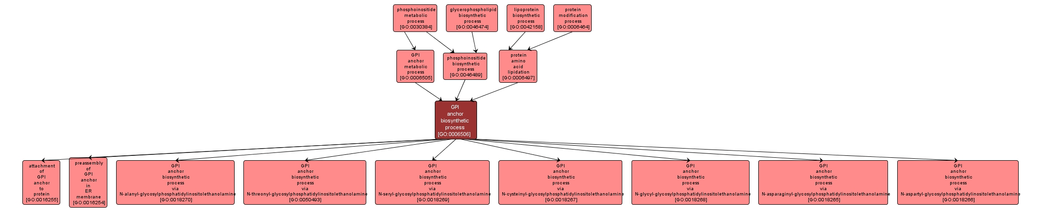 GO:0006506 - GPI anchor biosynthetic process (interactive image map)