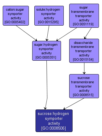 GO:0008506 - sucrose:hydrogen symporter activity (interactive image map)