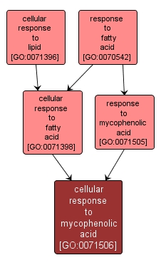 GO:0071506 - cellular response to mycophenolic acid (interactive image map)
