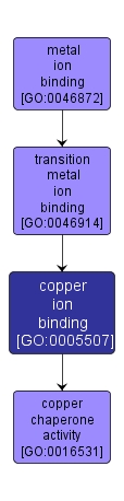 GO:0005507 - copper ion binding (interactive image map)