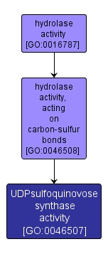 GO:0046507 - UDPsulfoquinovose synthase activity (interactive image map)