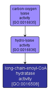 GO:0016508 - long-chain-enoyl-CoA hydratase activity (interactive image map)