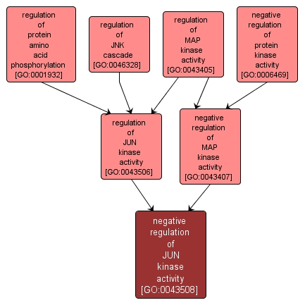 GO:0043508 - negative regulation of JUN kinase activity (interactive image map)