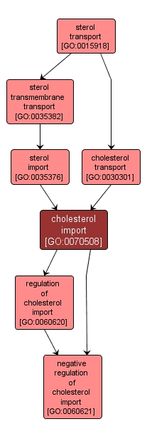 GO:0070508 - cholesterol import (interactive image map)