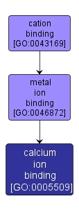 GO:0005509 - calcium ion binding (interactive image map)