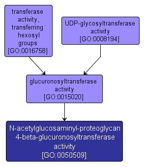 GO:0050509 - N-acetylglucosaminyl-proteoglycan 4-beta-glucuronosyltransferase activity (interactive image map)