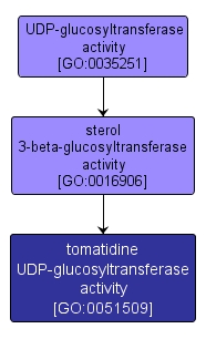 GO:0051509 - tomatidine UDP-glucosyltransferase activity (interactive image map)