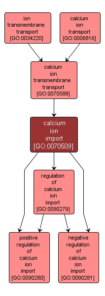 GO:0070509 - calcium ion import (interactive image map)