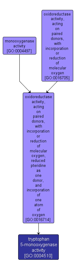 GO:0004510 - tryptophan 5-monooxygenase activity (interactive image map)