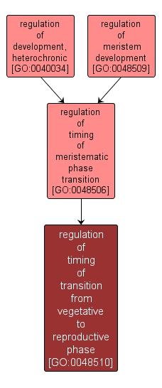 GO:0048510 - regulation of timing of transition from vegetative to reproductive phase (interactive image map)