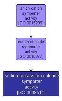 GO:0008511 - sodium:potassium:chloride symporter activity (interactive image map)