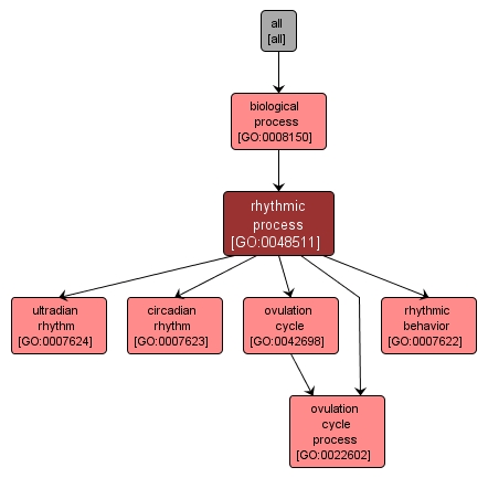 GO:0048511 - rhythmic process (interactive image map)