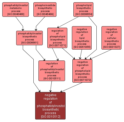 GO:0010512 - negative regulation of phosphatidylinositol biosynthetic process (interactive image map)