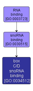GO:0034512 - box C/D snoRNA binding (interactive image map)