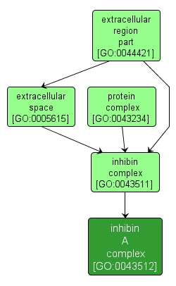 GO:0043512 - inhibin A complex (interactive image map)