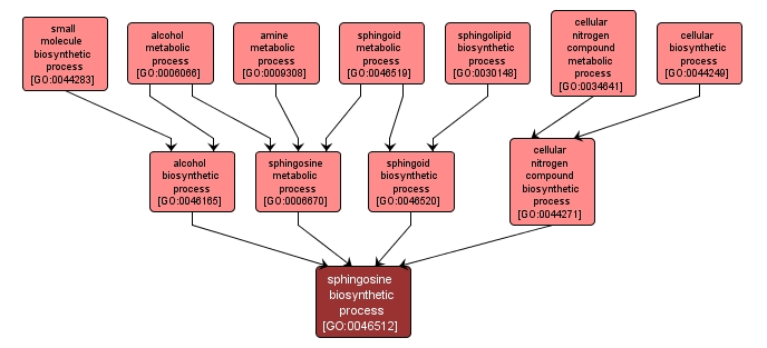 GO:0046512 - sphingosine biosynthetic process (interactive image map)