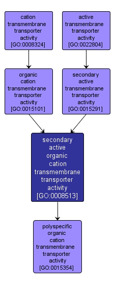 GO:0008513 - secondary active organic cation transmembrane transporter activity (interactive image map)