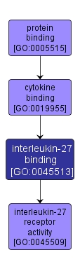 GO:0045513 - interleukin-27 binding (interactive image map)
