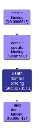 GO:0070513 - death domain binding (interactive image map)