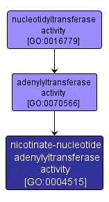 GO:0004515 - nicotinate-nucleotide adenylyltransferase activity (interactive image map)