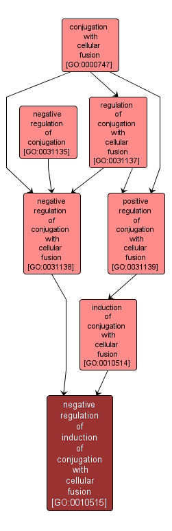 GO:0010515 - negative regulation of induction of conjugation with cellular fusion (interactive image map)