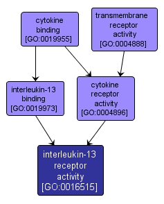 GO:0016515 - interleukin-13 receptor activity (interactive image map)