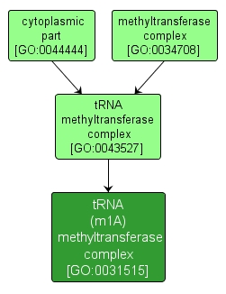 GO:0031515 - tRNA (m1A) methyltransferase complex (interactive image map)