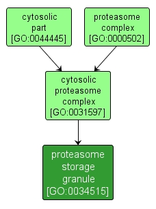 GO:0034515 - proteasome storage granule (interactive image map)