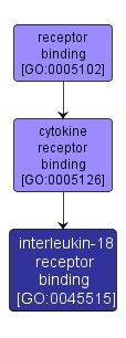 GO:0045515 - interleukin-18 receptor binding (interactive image map)