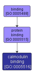 GO:0005516 - calmodulin binding (interactive image map)