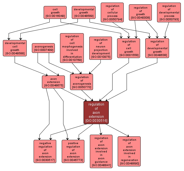 GO:0030516 - regulation of axon extension (interactive image map)