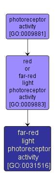 GO:0031516 - far-red light photoreceptor activity (interactive image map)