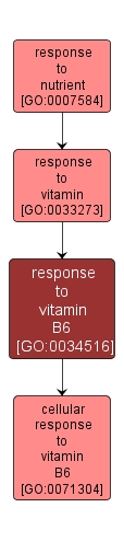 GO:0034516 - response to vitamin B6 (interactive image map)