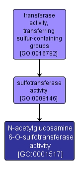 GO:0001517 - N-acetylglucosamine 6-O-sulfotransferase activity (interactive image map)